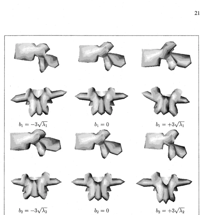 Figure 2  Visualization of mean shape (middle row) from the sagittal (top row) and coro- coro-nal  views  (bottom row),  and two  deformed shapes obtained by applying  (±3  standard  deviations  of the  first  and  second  deformation  modes  to  the  mean