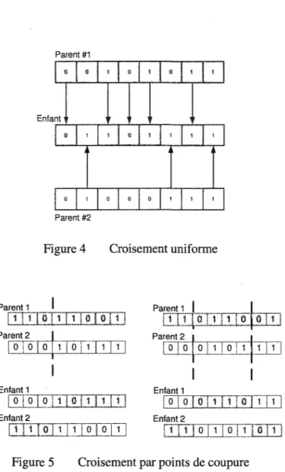 Figure 4  Croisement uniforme 