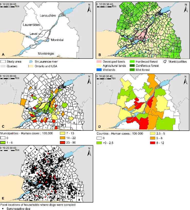 Figure 5.  Geographical representation of descriptive data. A Study area; B Municipalities and land cover classification  within the study area; C Incidence risk per 100,000 people for the 2011-2014 period in municipalities included in the 