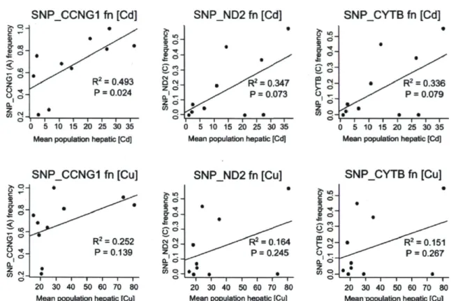 Figure 4. Linear regressions between candidate SNP allelic frequencies in each population  and mean population hepatic contamination