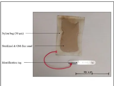 Figure 1. An example of a nylon sand bag. The bag (50 µm pores) is filled with sterilized and organic  matter (OM)-free sand