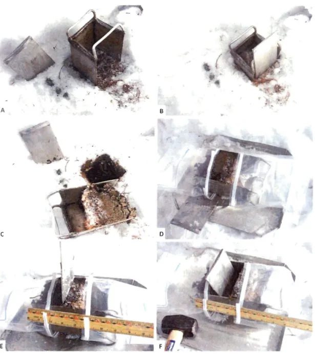 Figure  1.5  :  Étapes  de  prélèvement  du  sol  avec  un  carottier  de  10  x  10  x  10  cm 3 ;  étapes A-B  : enfoncement du carottier dans  le  sol; étape C  : extraction de la carotte de  sol;  étape D  : préparation  des  sacs  stériles;  étape  E 
