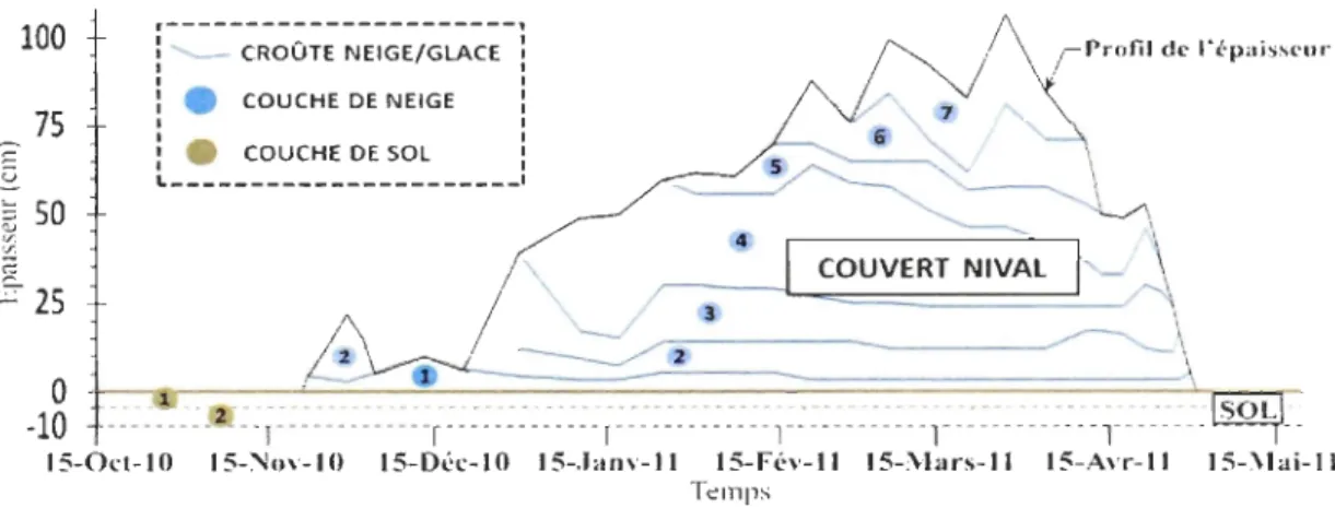 Figure  1.6  : Nombre et épaisseur des couches de sol et de  neige (au champ) prélevées  pendant l'hiver 2010-2011 