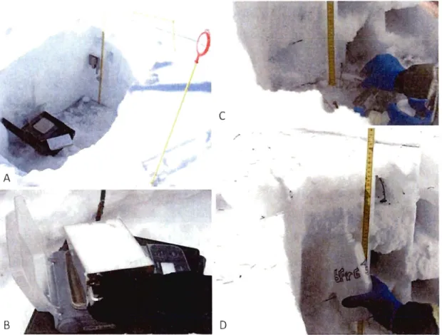 Figure  1.8  :  Profil  physique  de  la  neige  (A) ;  pesée  de  la  neige  pour  le  calcul  de  densité (8); échantillonnage de  la  nei ge pour le pH (C) et pour les analyses  chimiques  et biologiques (D) 