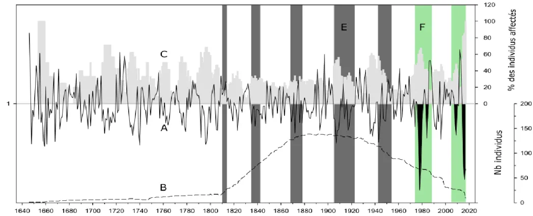 Figure 5. Agrandissement de la période 1646 à 2017 de la chronologie des arbres vivants, morts toujours connectés à la rive et subfossiles  dans le lac Dionne