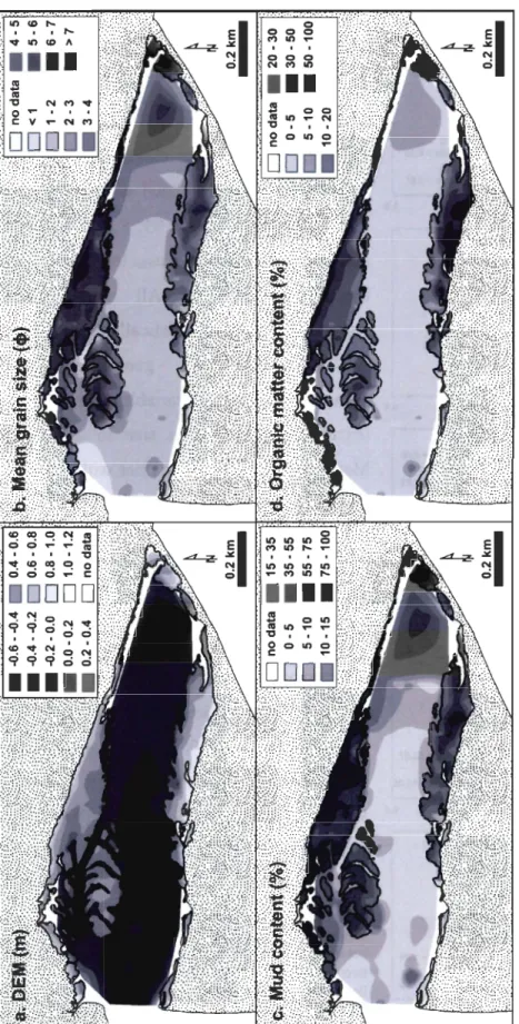Figure 4:  (a)  Digital  elevation  model  (DEM)  and  spatial  distribution  of  the  sediment  variables :  (b)  mean  grain  size,  (c)  mud  content,  and  (d)  organic  matter  content