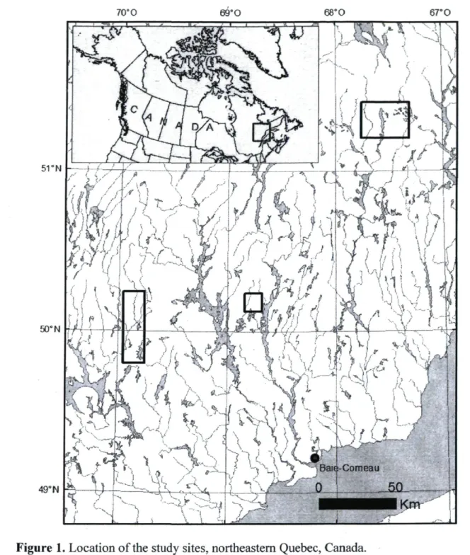 Figure 1. Location of the study sites, northeastern Quebec, Canada. 