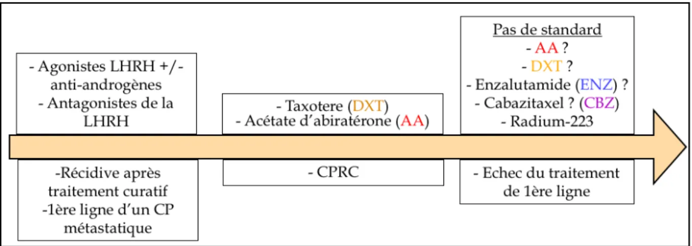 Figure 1: Schématisation de la hiérarchisation de la prise en charge thérapeutique  du CaP métastatique et du CPRC