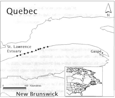 Figure  1.  Location  of the 10 study sites in  the St.  Lawrence maritime estuary (Canada)