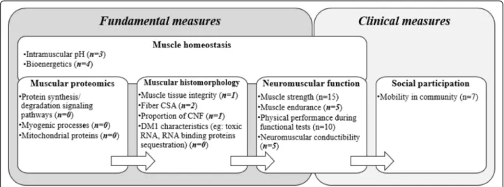 Fig. 2 Mapping of current literature according to their type of measures. Each category (in bold) includes domains that can be influenced by exercise or training