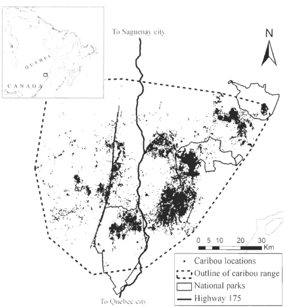 Figure 2. 1.  Map of  the  study area showing Highway 175  crossing the forest-dwel1ing  caribou  range  in  the  Charlevoix  region,  Québec,  Canada,  Québec  National  park  boundaries and  caribou  locations  (n  =  364  100)  obtained  with  the  glob