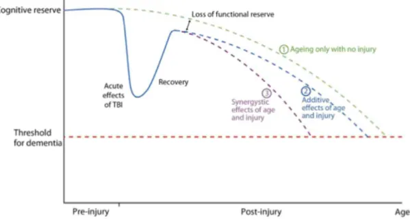 Figure    3    :    D’après        Smith    et    al   :    Hypothèse    de    l’influence    du    traumatisme    crânien    sur    la    réserve    cognitive   