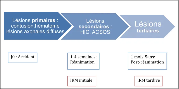 Figure   4   :   La   notion   de   lésions   tertiaires   :   Différence   entre   les   lésions   évaluées   à   l’IRM   tardive   et   celles    de   l’IRM   initiale
