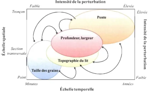 Figure 0.1  Schéma illustrant  les  aj ustements de  la taille  des sédiments, de  la  topographie  du  lit,  de  la  profondeur,  de  largeur  et  de  la  pente  à  différentes  échelles  spatiales  et  temporelles  et  selon  l'intensité  de  la  perturb