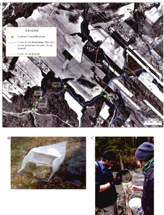 Figure 2.6  A)  Positi onnement  des  sept  stati ons  d'échantillonnage  de  macroinvertébrés  benthi ques  pour  l' éva luation  de  la  qualité  des  habitats