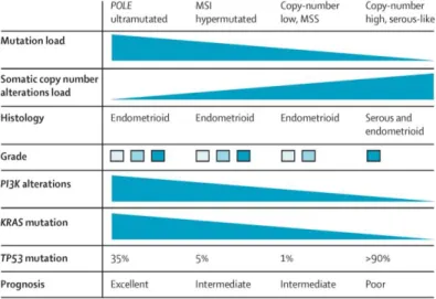 Figure 1  :  Caractéristiques  des  tumeurs  selon  les  4  groupes  de  la  classification génomique  