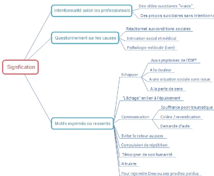 Figure 2.2 : Arbre thématique : Signification des idées et conduites suicidaires 