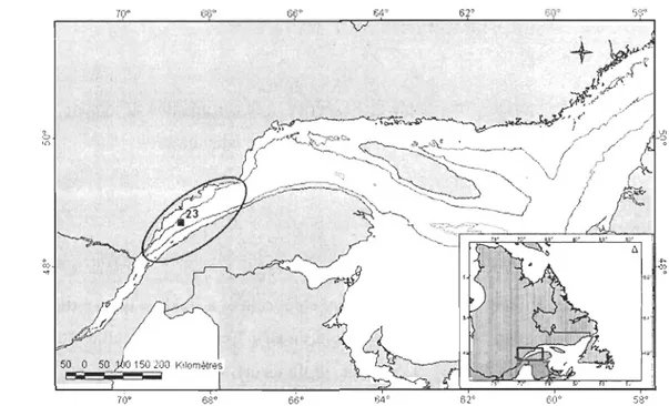 Figure 3.  Localisation de  la  station 23  dans le  Chenal Laurentien, Qu ébec , Canada 