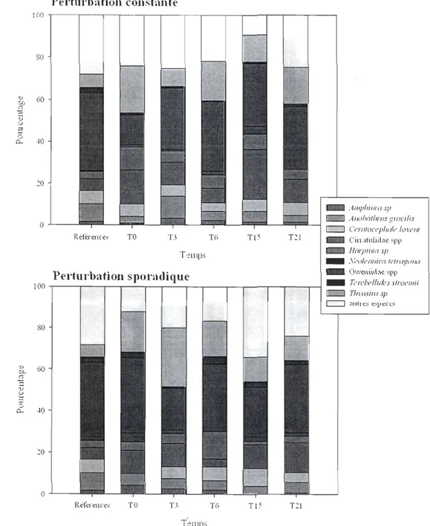 Figure  10,  Compos iti o n  (%)  de  la  macrofaune  des  carottes  de  références  (va leurs  moyennes)  et des di ffére nts temps po ur les deux types de perturbations 