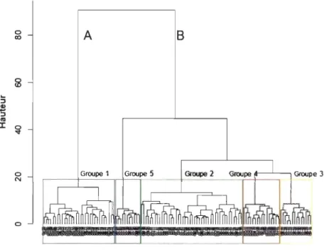 Figure 4:  Dendrogramme  basé sur  la  méthode &#34; Ward&#34;  illustrant la  classification  des  unités  spatiales selon  leur simi larité en  termes de  PUES 