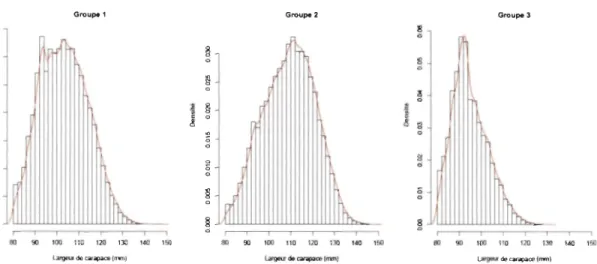 Figure 9:  Distribution  des  fréquences  de  tailles  des  mâles  crabes  des  neiges  capturés  entre  1994 et 2006 pour chaque groupe d ' unités spatiales discriminées  par la CAH