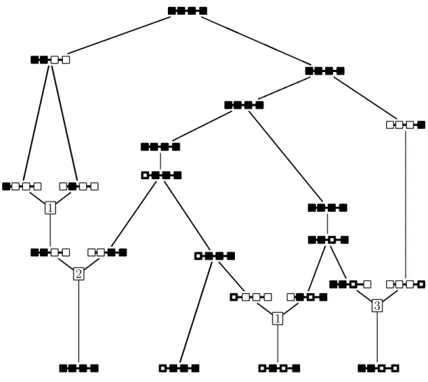 Figure 3.1.1. Un exemple d’ARG. Symboles: marqueur ances- ances-tral primitif; marqueur ancestral mutant; marqueur non ancestral.