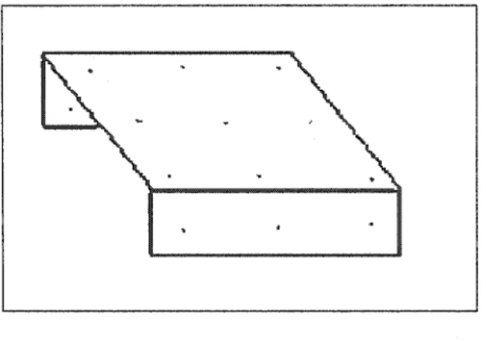 Figure  1  Objet de calibrage utilisé lors de la prise de radiographies préopératoires 