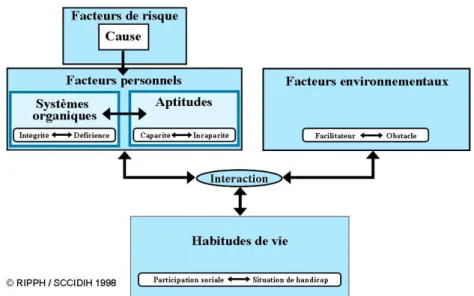 Figure 3 : Processus de production du handicap 