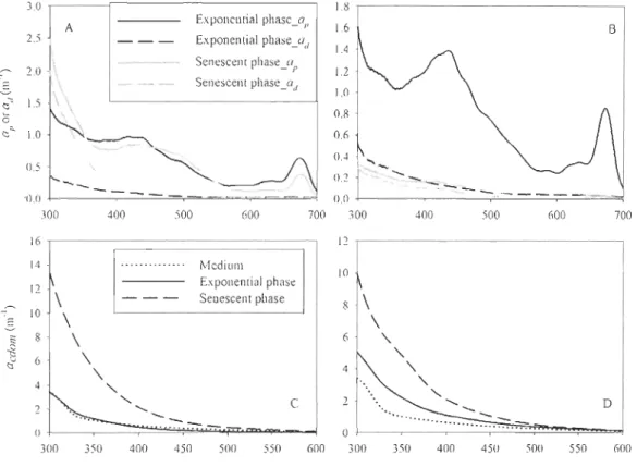 Fig.  3-2 Examples  of  absorption  spectra  of  particles  and  eDOM.  al'  and  ad  spectra  presented  here  were  measured for  the  irradiation  samples, but  not  in  the  initial  cultures ,  in  which  they  should  be  3  times  of those  for  the