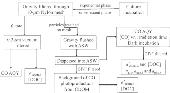Fig .  3-1  Flow-chart  of  the  main  procedures  of sample  collectio n  and  process ing