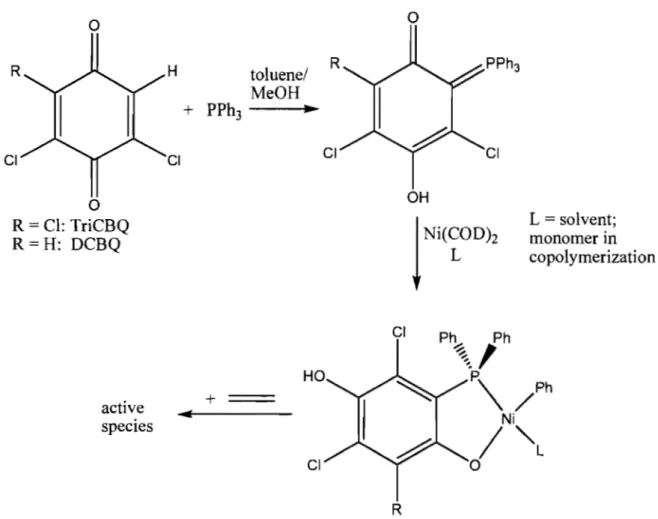 Figure 1.9: General scheme of benzoquinone catalyst formation. 