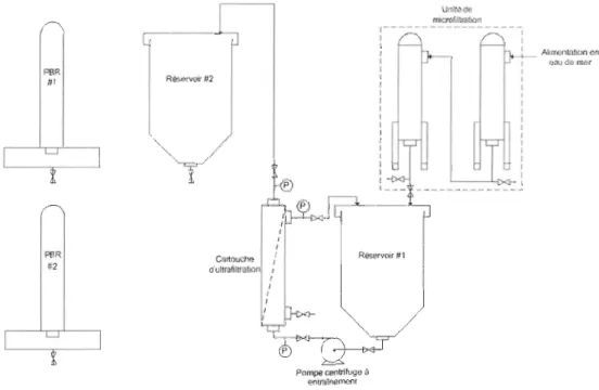 Figure 16  : Configuration du système d'approvisionnement en eau de mer pour la récolte en  semi-continu 
