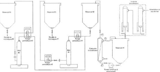 Figure  17  : Configuration du  système d'approvisionnement en eau de mer pour la récolte  en  continu 