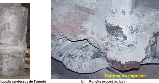 Figure 1-17: Détérioration des rondins provoqués par l’exposition au bain liquide [22] 