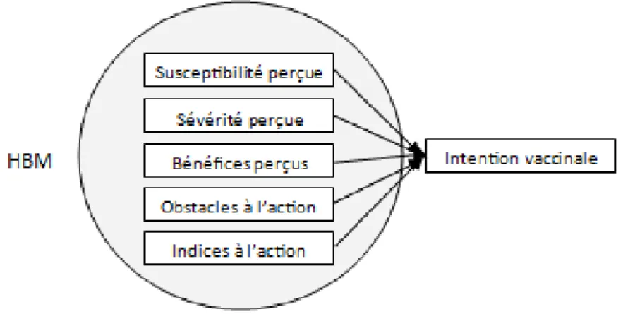 Figure 3 : Schéma du modèle HBM (Health Belief Model) 