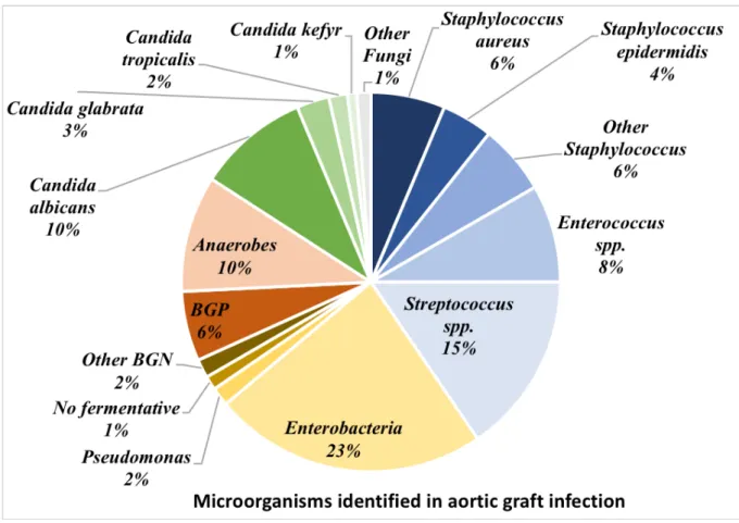 Figure 1: Microorganisms identified in aortic graft infection specimens 