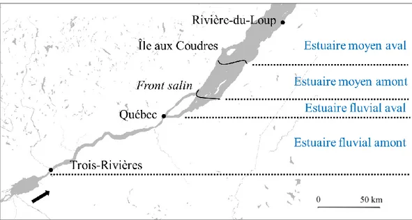 Figure  0.3  Représentation  des  habitats  estuariens  suggérés  dans  le  secteur  d’étude,  entre les villes de Trois-Rivières et Rivière-du-Loup