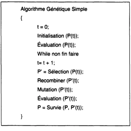 Figure 6 - Les étapes d'un AG  simple 