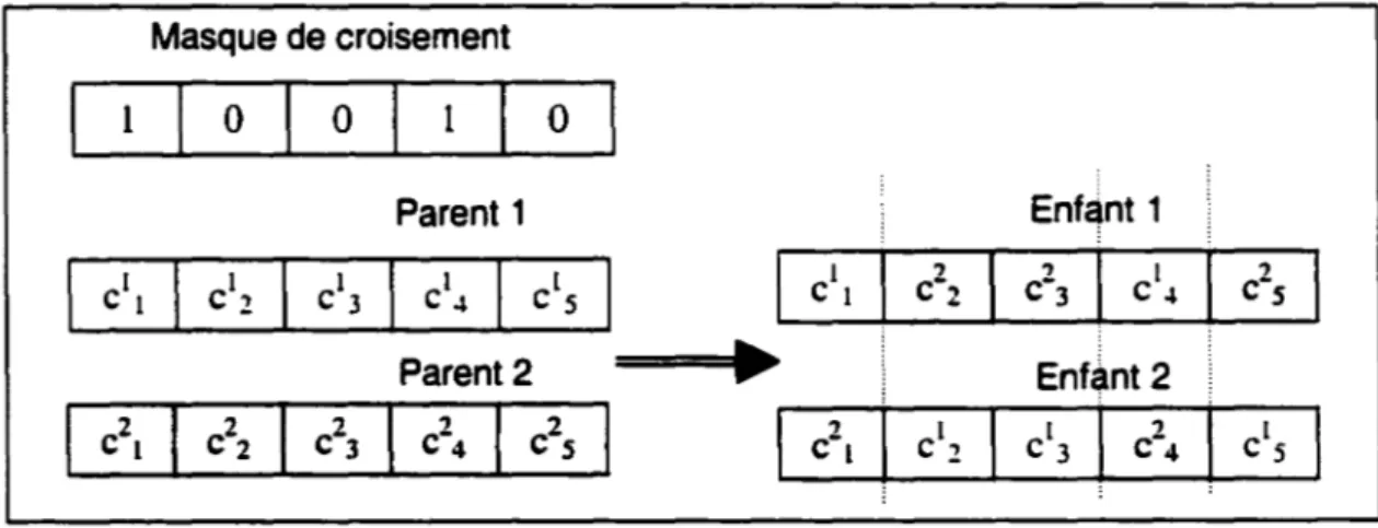 Figure 9 - Croisement uniforme 