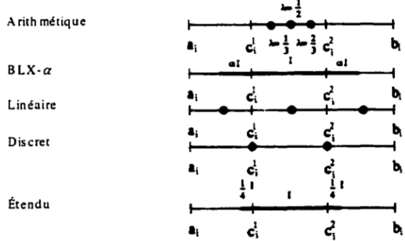 Figure  1 0 - Représentation des opérateurs de croisement (extraite de [27]) 