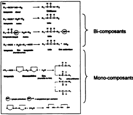 Figure 1.3  Réaction chimique des résines polyuréthanes  Source: Turmel  et  autres. 1995 