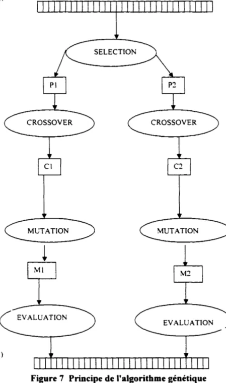 Figure 7  Principe de l'algorithme génétique 