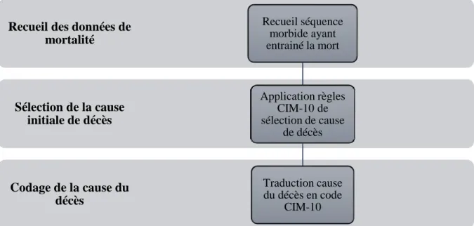 Figure 5 : Recueil et sélection de la cause initiale du décès des enfants âgés de 28 jours à moins  de 15 ans, décédés sur le territoire de Mayotte, entre 2015 et 2017