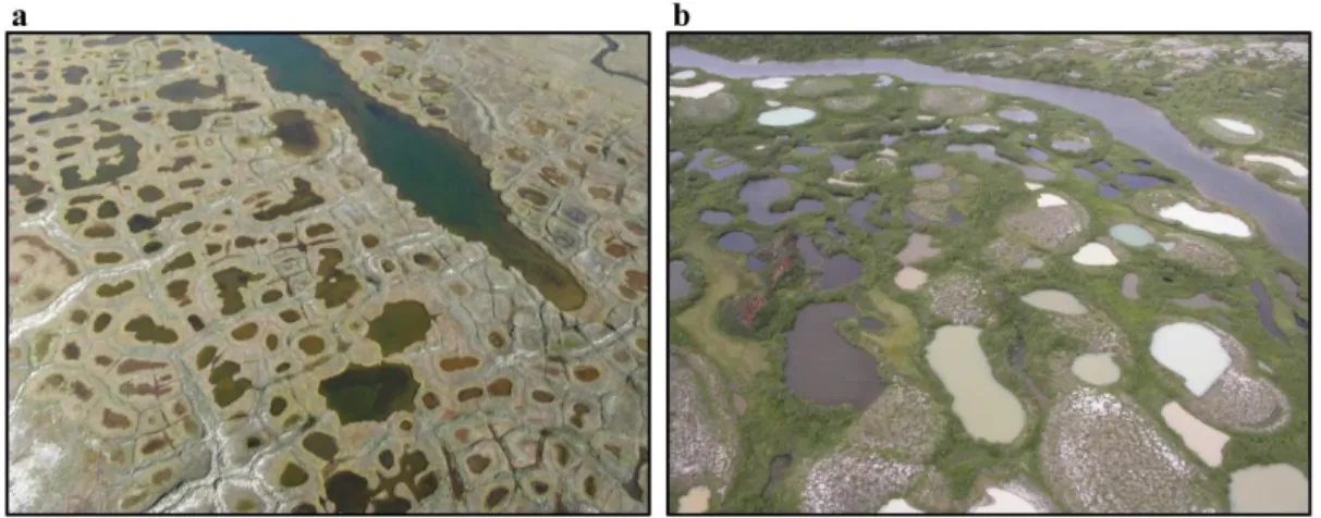 Figure  0.4  Typical  thaw  ponds  in  (a)  continuous  and  (b)  discontinuous  or  sporadic  permafrost zones