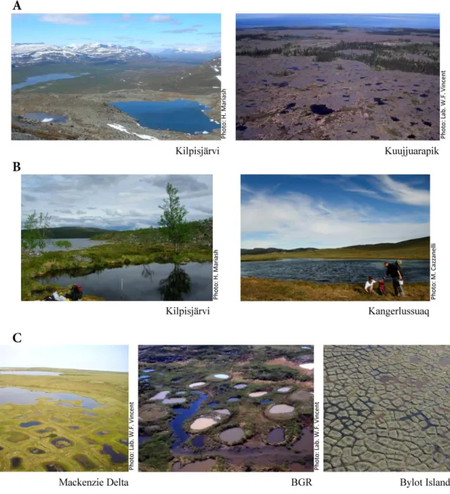 Figure 1.S1 Photos of studied ponds in (A) bedrock, (B) tundra, and (C) thaw ponds  categories