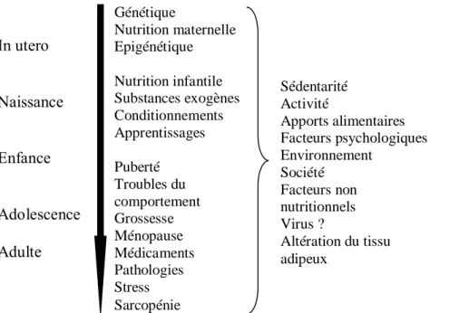 Figure 1:Facteurs impliqués dans le développement de l'obésité(14). Basdevant A, Clément K