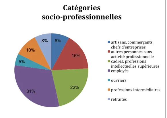 Figure 11 : Répartition de la population selon les catégories socio-professionnelles 