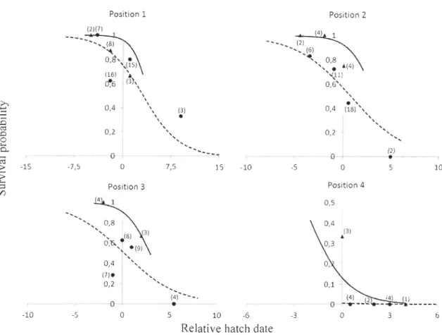Figure 3.  Survival proba bi lity of arcti c-nestin g  Peregrin e Falcon nestli ngs  up to 25  days old  in relati on to the ir  re lative hatch date (va lu es are standardi zed relat ive to the yearl y medi an)  a nd  w ithin  brood  hatc h  se quence  (p