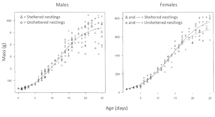 Figure 4.  Nestlings body mass  as  a function of nestling  age  for  male  and  female  Peregrine Falcons