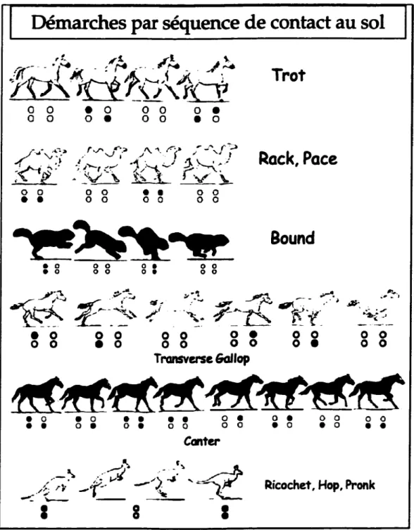 Figure 1.4  Empreintes des différentes démarches les plus connues 